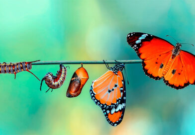 Innere Erneuerung Innere Erneuerung