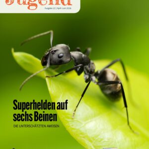 Die Fontäne Jugend - Ausgabe 22 (April-Juni 2026)